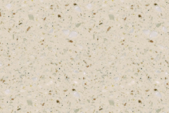 G116 Cookie