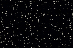 G53 Stardust Franite