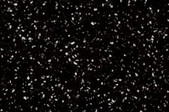 G009 Black Sand
