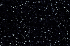 G047 Black Bird