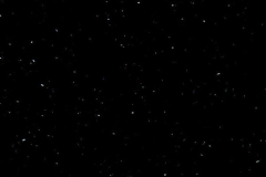 P04 Perna Black