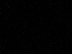 P04 Perna Black