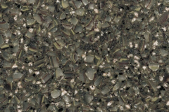 VG22 Basil