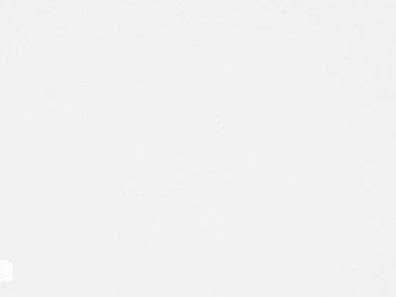 N-510-Mettalic-White-min