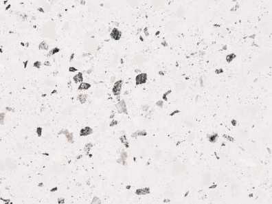 8455-Milos-min